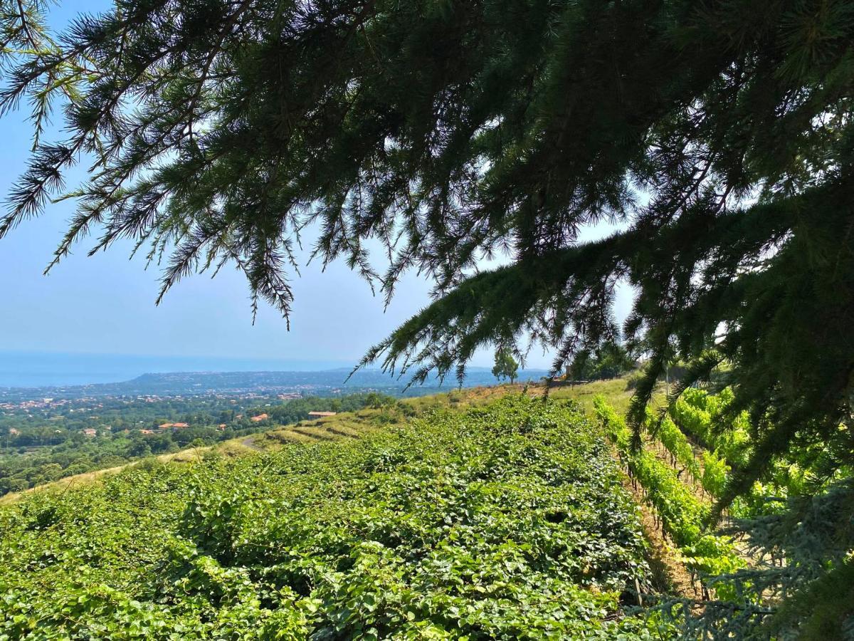 Tenuta Kiwi Dell'Etna 米罗 外观 照片